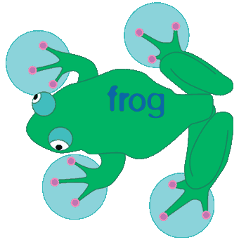 frog